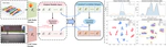 VRCLIP: Multimodal Canonical Correlation Alignment for CLIP-Driven Vision-Radio Person Re-Identification